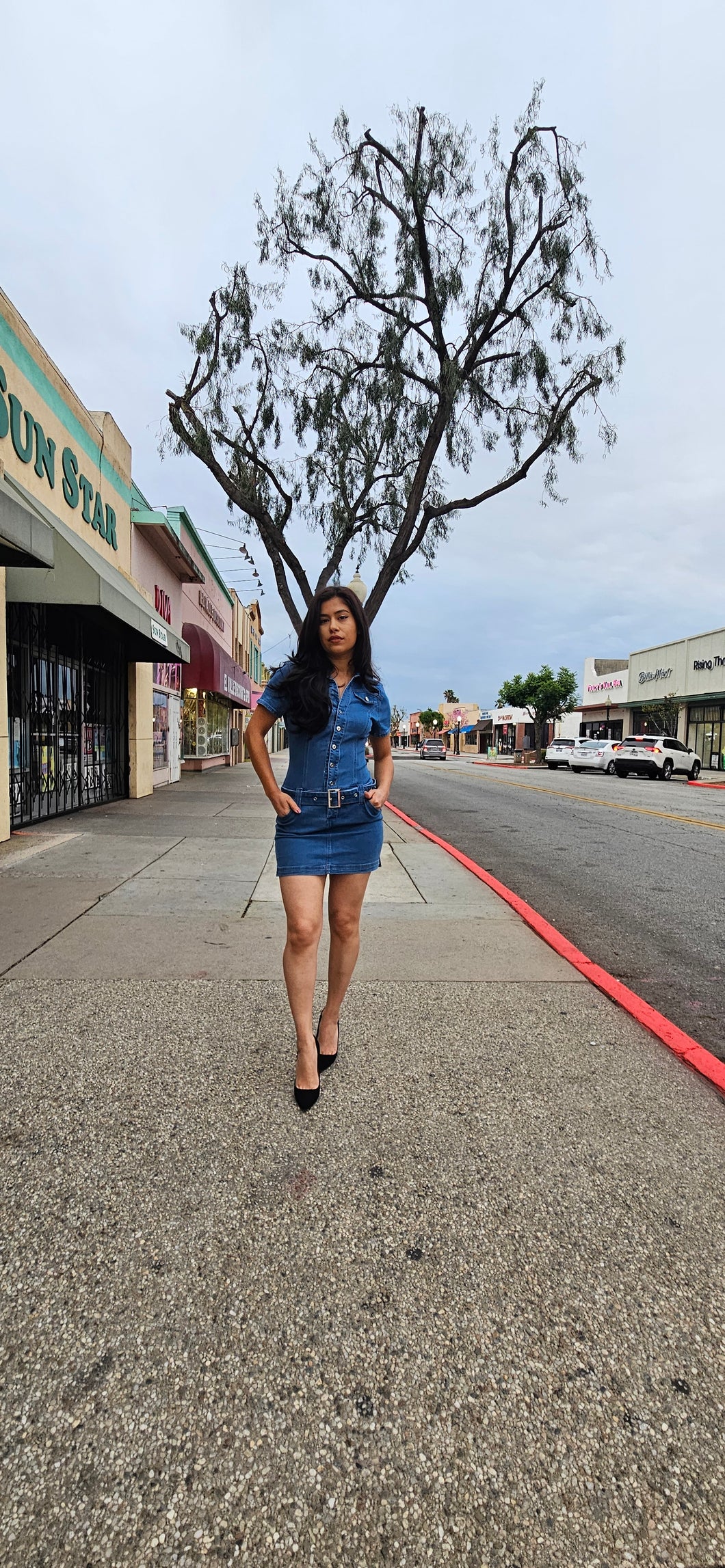 Denim Collection botton Dress